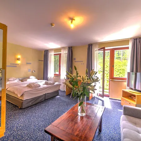 Jelenia Struga Medical 4* コバリ