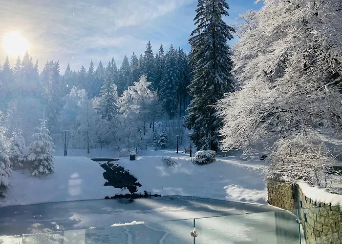 Jelenia Struga Medical