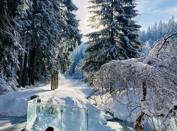 Hotel Jelenia Struga Medical 4*