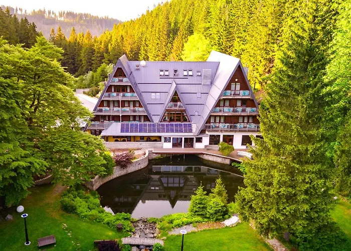 Hotel Jelenia Struga Medical 4*