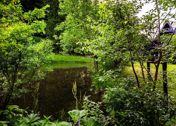 Jelenia Struga Medical 4* Karpacz